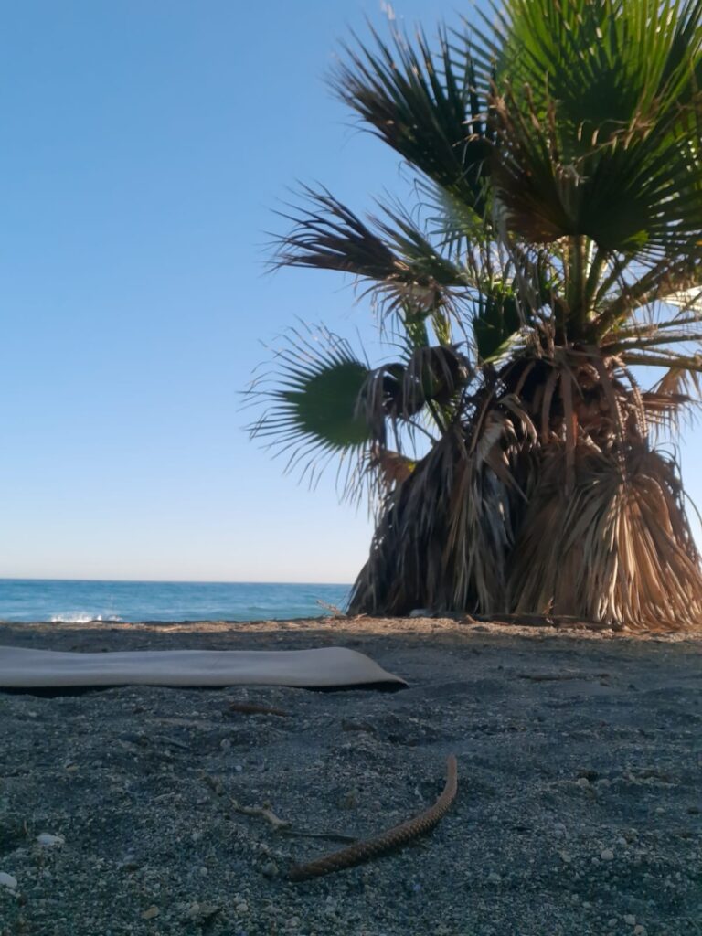 WhatsApp Image 2025 08 20 at 14.03.24 Yoga en la Playa