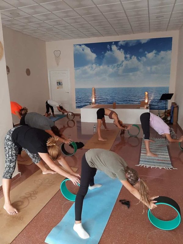 WHEEL-YOGA-PIC.3.jpg